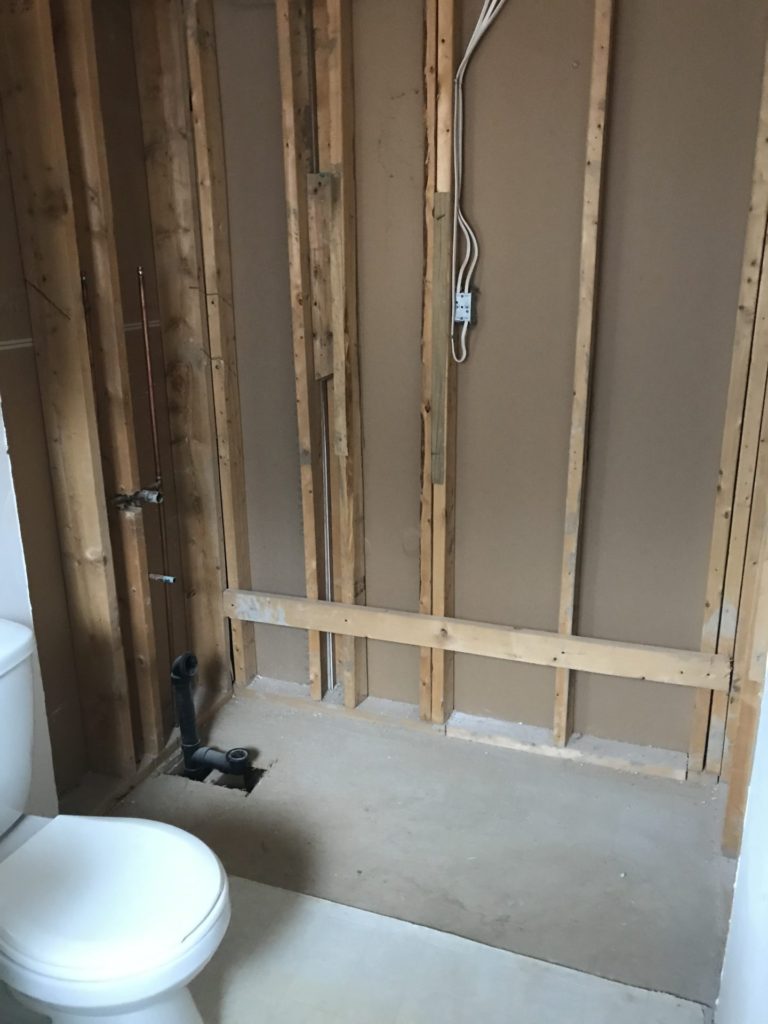 Renovating Master Bedroom Washroom
