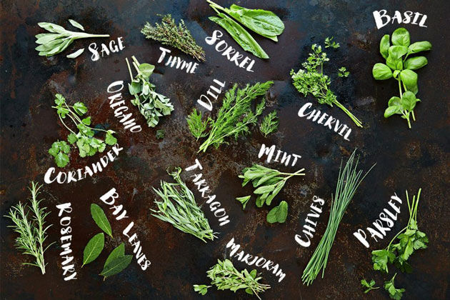 Grow Herbs Indoors
