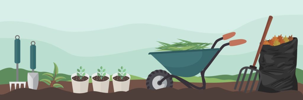Preparing Your Garden for 2022