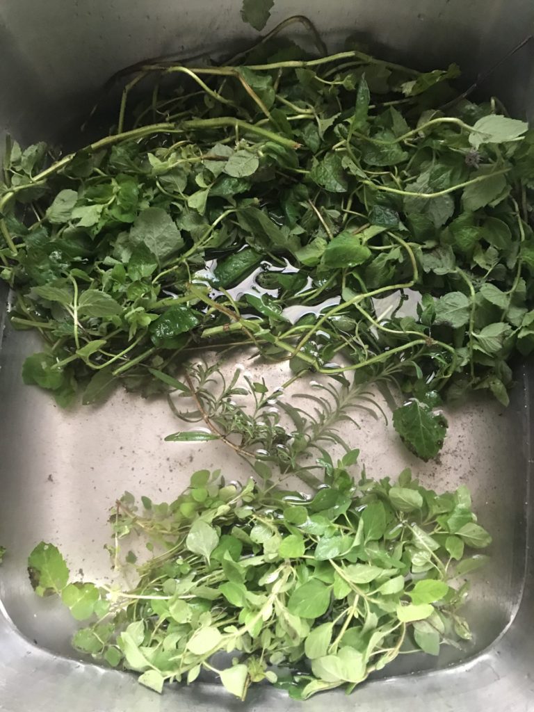 Harvesting Herbs For The Winter To Save Money