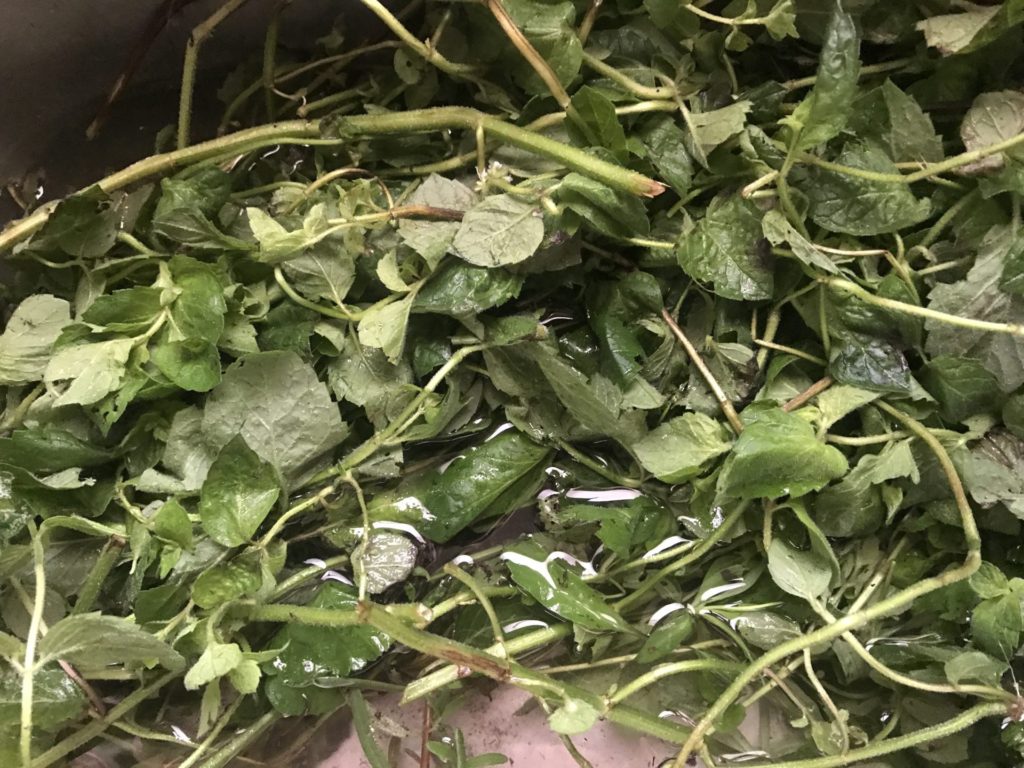 Harvesting Herbs For The Winter To Save Money