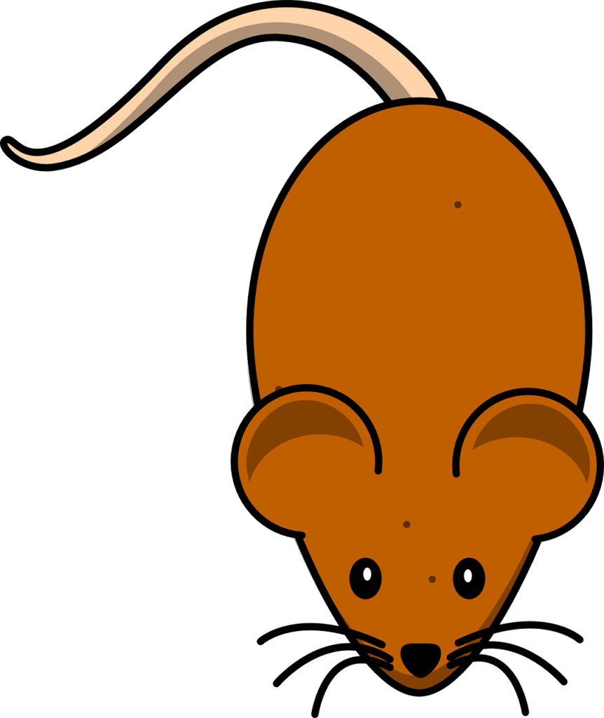 mice, mouse, brown-303747.jpg