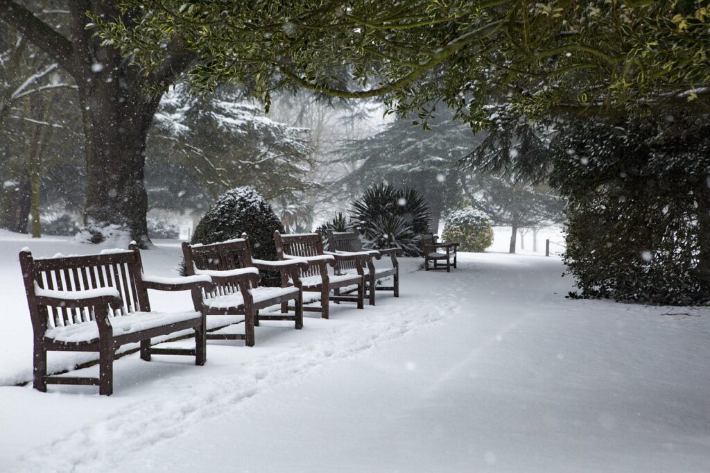 winter, snow, park-.jpg