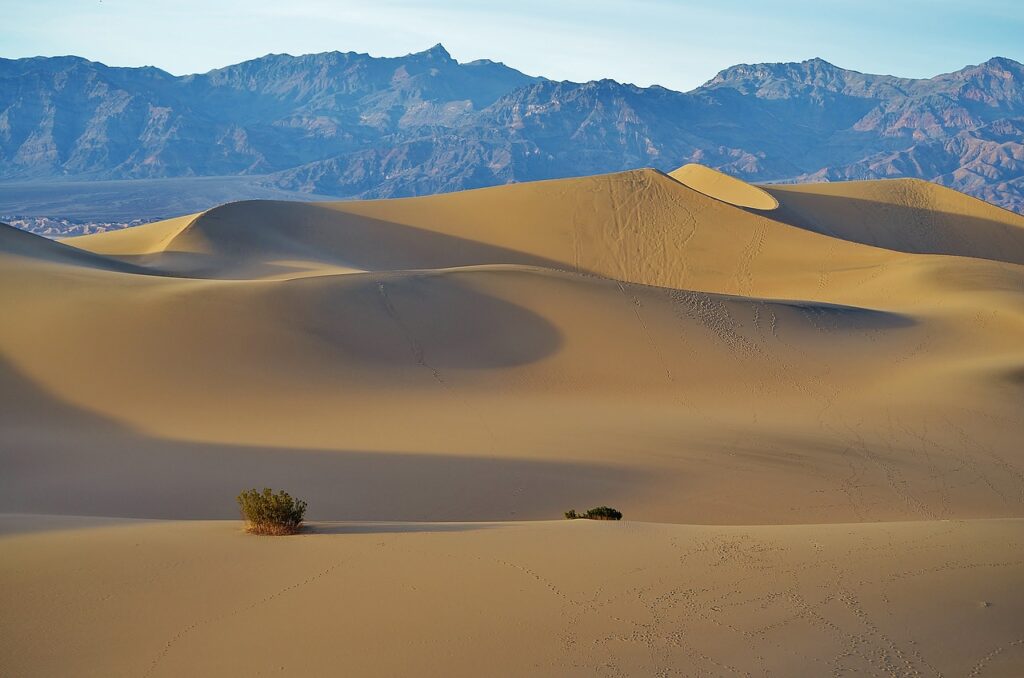 mesquite flats, sand dunes, desert-4779079.jpg