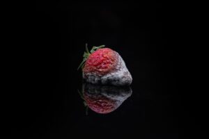 strawberry, fruit, mould-8027947.jpg