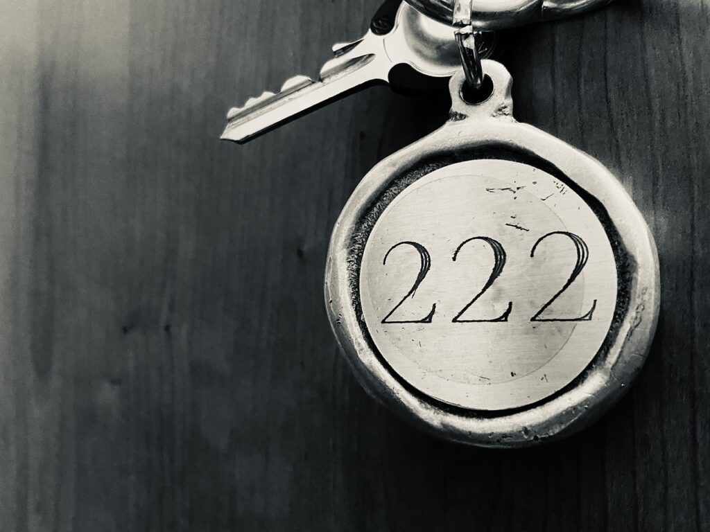 key, 222, keychain-7300545.jpg