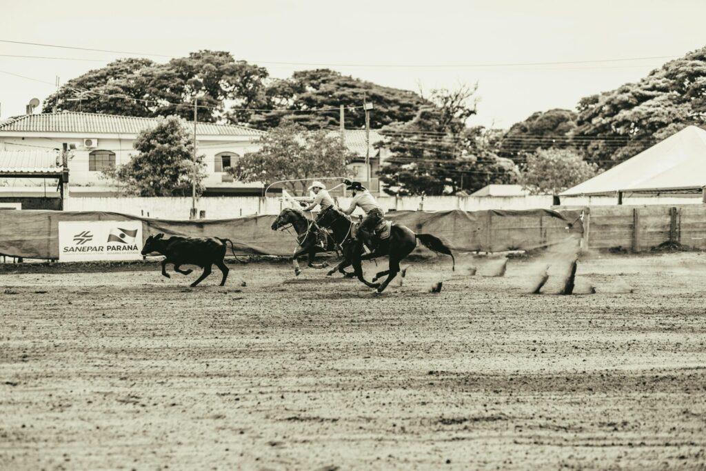 Rodeo competition with cowboys in Maringá, Brazil showcasing traditional cowboy culture.