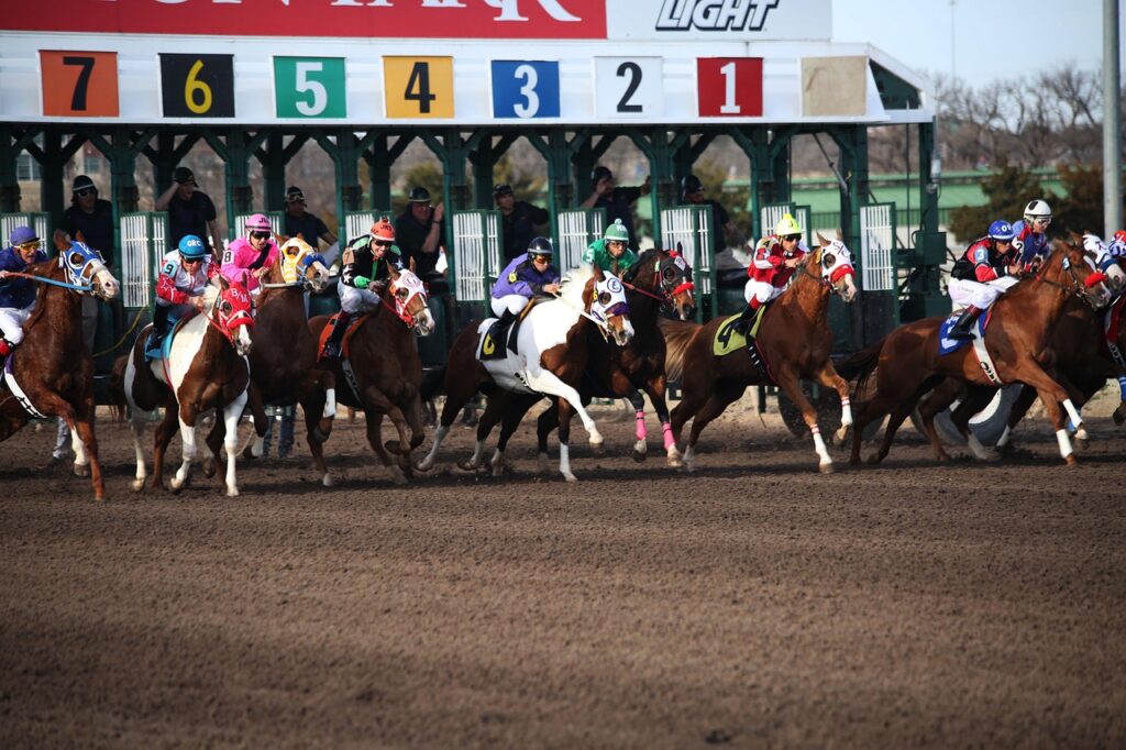 horses, horse racing, racetrack, horse race, jockey, race, racing, rider, horseback, thoroughbred, horse racing, horse racing, horse racing, horse racing, horse racing, racetrack