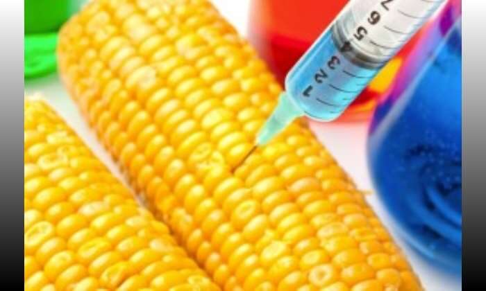 They Are ConCERNed About The Truth